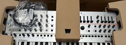 Roland-Gaia 2 boxed, unused, with gig bag 